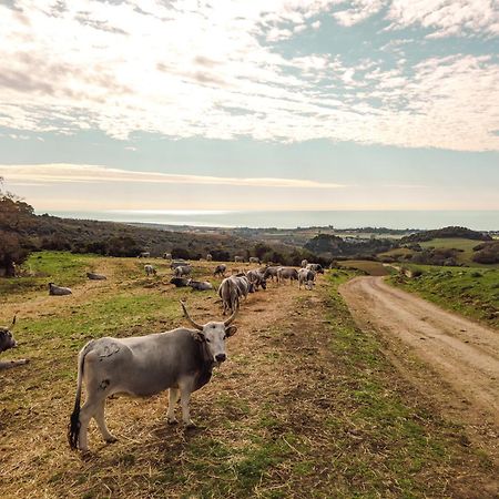 Agriturismo Morani ซานตาเซเวรา ภายนอก รูปภาพ