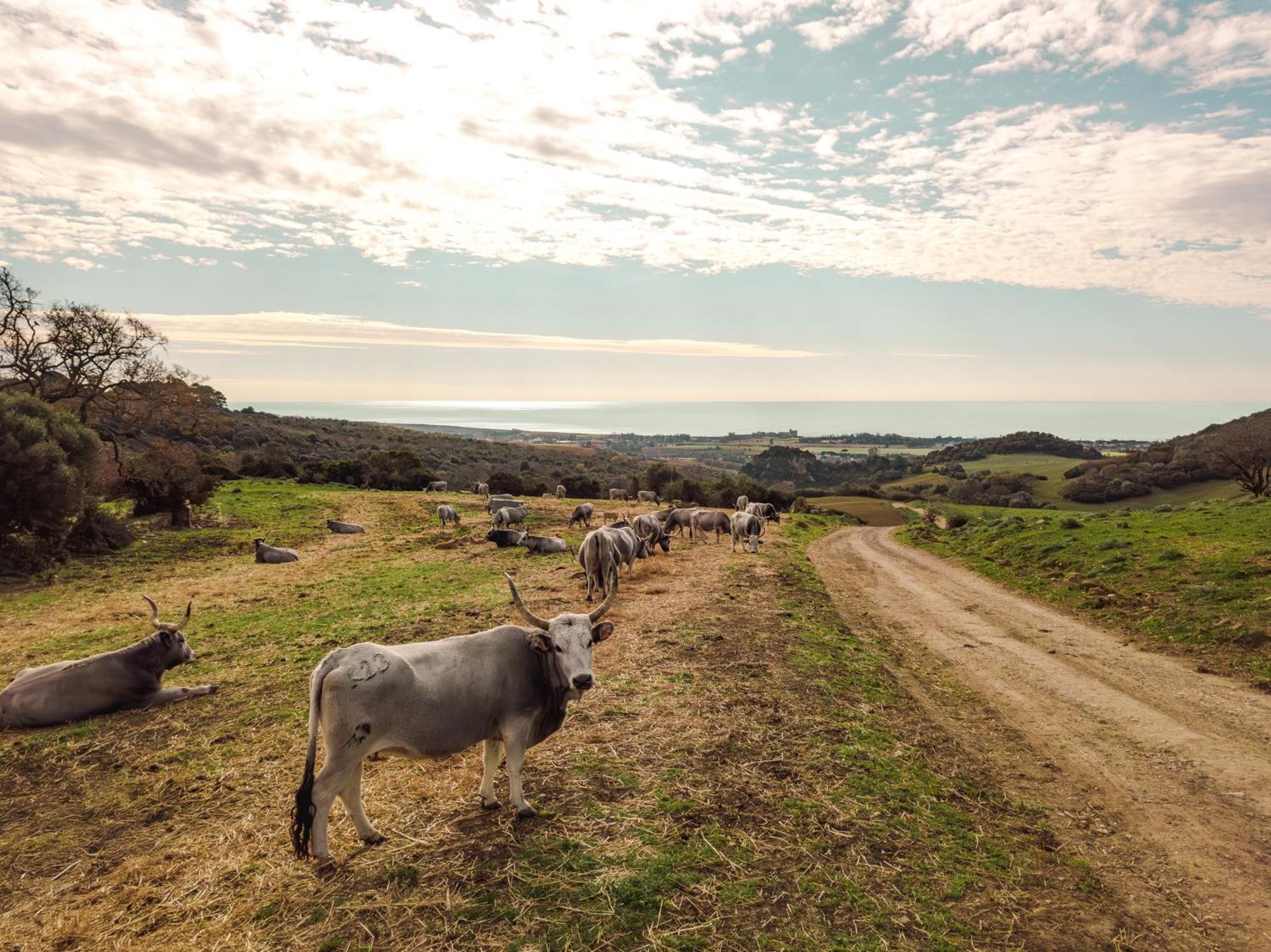 Agriturismo Morani ซานตาเซเวรา ภายนอก รูปภาพ
